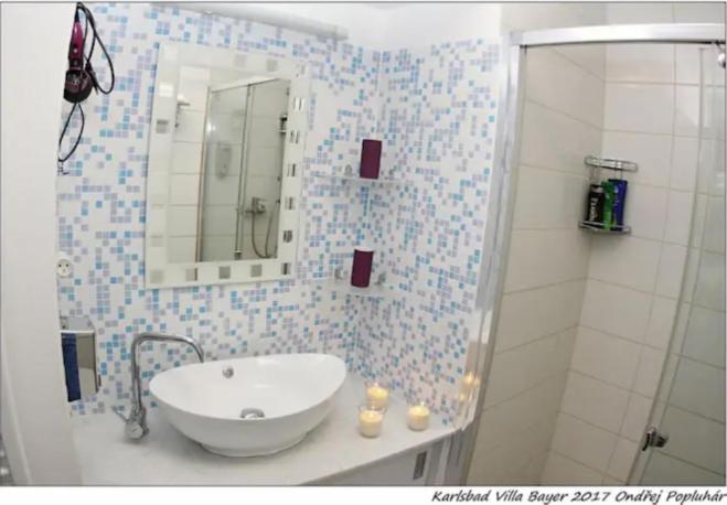 Apartman Vila Bayer Карлови Вари Екстериор снимка