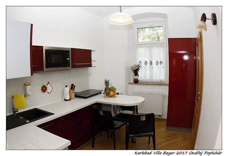Apartman Vila Bayer Карлови Вари Екстериор снимка