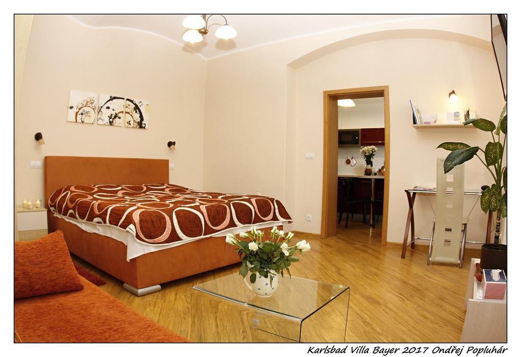 Apartman Vila Bayer Карлови Вари Екстериор снимка